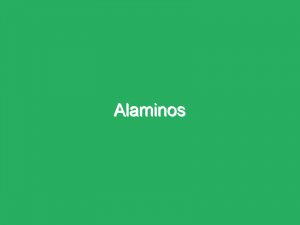 Alaminos