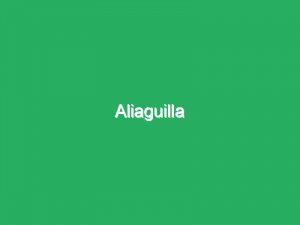 Aliaguilla