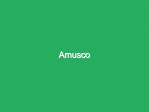 Amusco