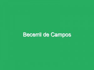 Becerril de Campos