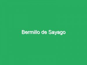 Bermillo de Sayago