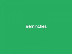 Berninches