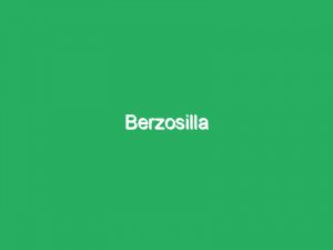 Berzosilla