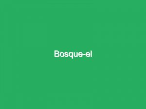 Bosque-el