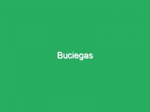 Buciegas