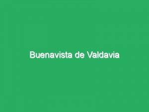 Buenavista de Valdavia