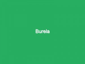 Burela