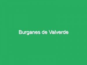 Burganes de Valverde