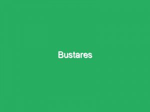 Bustares