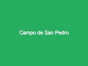 Campo de San Pedro