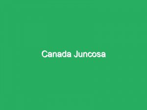 Canada Juncosa