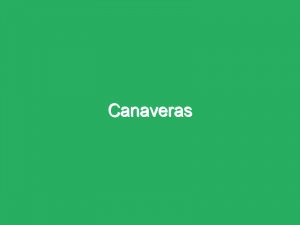 Canaveras