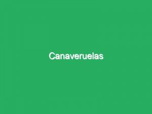 Canaveruelas