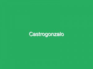 Castrogonzalo