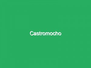 Castromocho