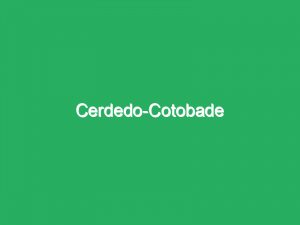 Cerdedo-Cotobade