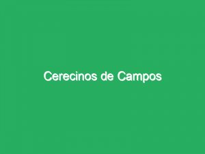 Cerecinos de Campos
