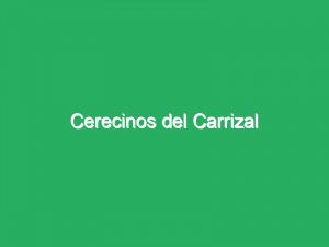 Cerecinos del Carrizal