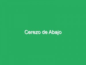 Cerezo de Abajo