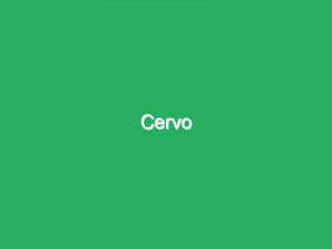 Cervo