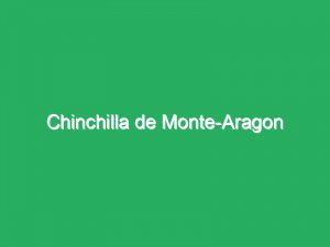 Chinchilla de Monte-Aragon