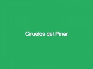 Ciruelos del Pinar