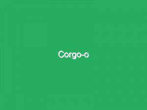 Corgo-o