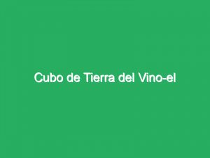 Cubo de Tierra del Vino-el