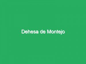 Dehesa de Montejo