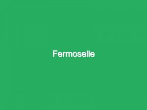Fermoselle