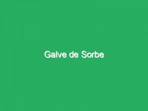 Galve de Sorbe