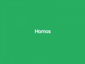 Hornos