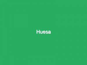 Huesa