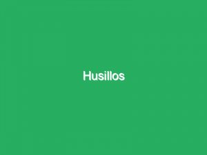 Husillos