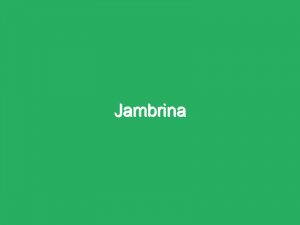 Jambrina