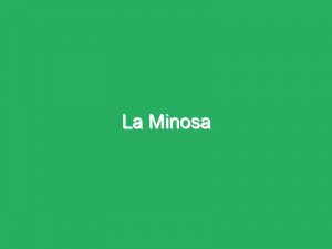 La Minosa