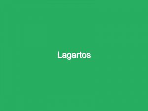 Lagartos