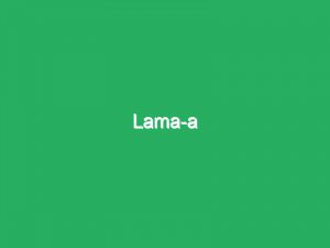 Lama-a