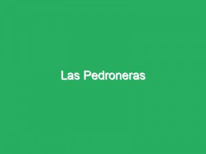 Las Pedroneras