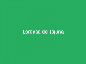 Loranca de Tajuna