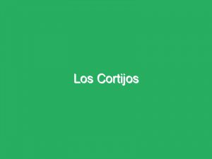 Los Cortijos