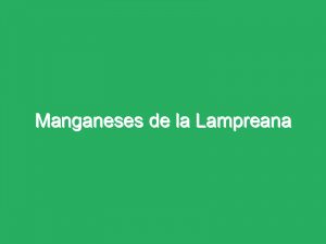 Manganeses de la Lampreana
