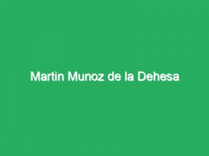 Martin Munoz de la Dehesa