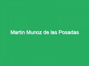 Martin Munoz de las Posadas