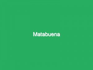 Matabuena
