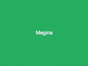 Megina
