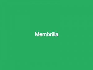 Membrilla