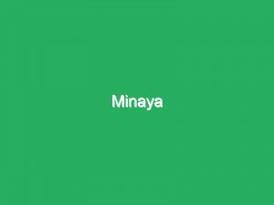 Minaya