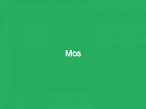 Mos