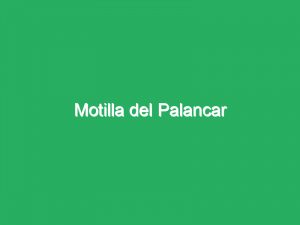 Motilla del Palancar
